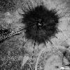 Спекшаяся земля вокруг кратера (потемневшее пятно). Стрелкой на фотографии отмечен кратер, оставшийся после проведения "100-тонного" теста.